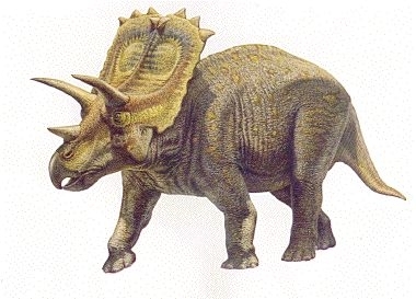 Centrosaurus