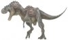  Albertosaurus