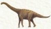 Abrosaurus dangpoi sau soparla delicata