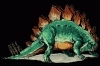 Agrosaurus