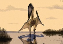 A fost descoperit cel mai mare pterozaur, cu aripile de marimea unei masini