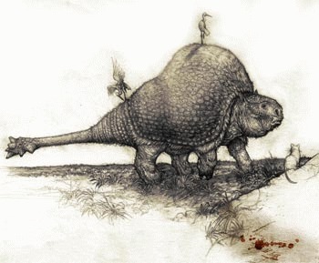 Specii disparute: Gliptodonul sau Doedicurus clavicaudatus
