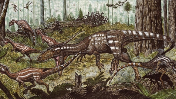 O nouă specie de dinozaur prădător a fost descoperită