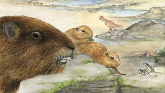 Descoperire uimitoare: pe vremea dinozaurilor trăia o marmotă gigantă