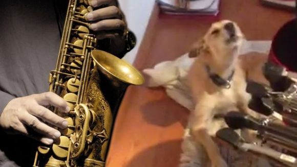 Duetul perfect: saxofonistul şi patrupedul
