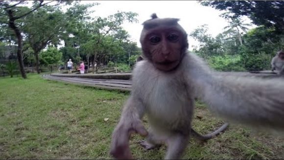 A furat camera unui turist, pentru a-și face un selfie – VIDEO