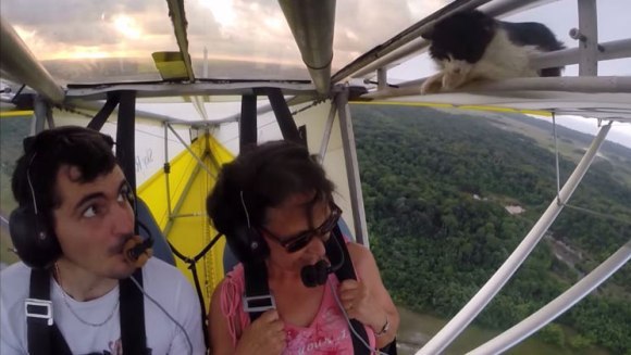 Cu pisica pe... aripa avionului! VIDEO