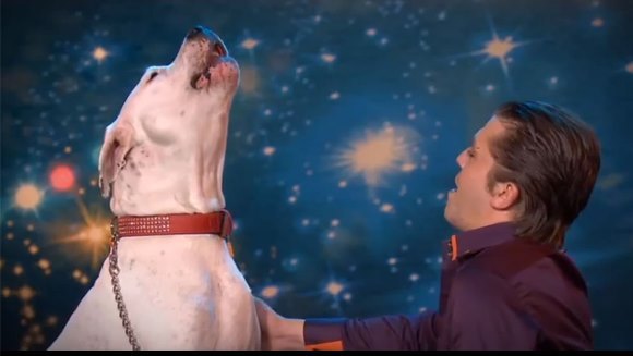 Câinele care cântă “I will always love you”, melodia regretatei Whitney Houston – VIDEO