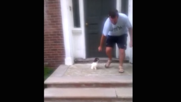 I-a fost frică să coboare pe scări, așa că le-a evitat în cel mai amuzant mod posibil – VIDEO