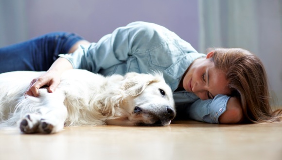 Animale Care Incep Cu Litera Q Zoolandro