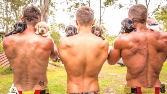 Pompieri australieni, în postaze incendiare pentru calendarul caritabil din 2017: au pozat alături de cățeluși - Galerie Foto