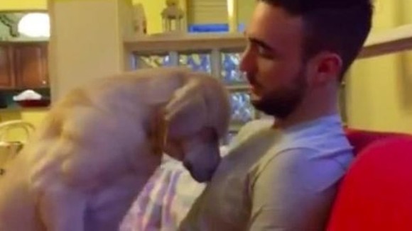 Cea mai mare dovadă că regretă amarnic cele făcute: cum își cere iertare câinele - VIDEO adorabil