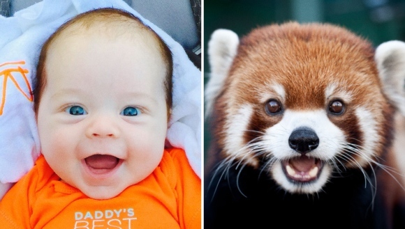 15 imagini care ne demonstrează: animalele pot trăi atâtea emoții câte trăiesc și copiii - Galerie foto adorabilă