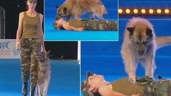 Lecții de prim-ajutor de la un câine: își resuscitează mămica pe scena, în cadrul unei competiții de dans – VIDEO