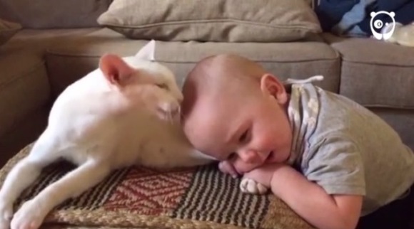 Nu ştiau cum se comporta pisicuţa proaspăt adoptată cu bebeluşul, dar… VIDEO adorabil
