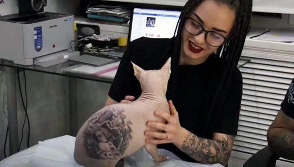 Un artist şi-a tatuat pisica, stârnind o mulţime de controverse: este etic sau nu să îţi duci mâţa la tatuat?