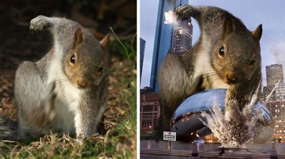 Această veveriţă a pozat în eroină, inspirând sute de internauţi creativi să se folosească de Photoshop - Galerie foto