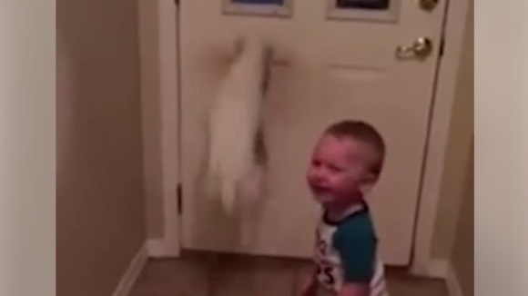 Un copilaş râde de se prăpădeşte când îşi vede câinele sărind pe uşă - VIDEO