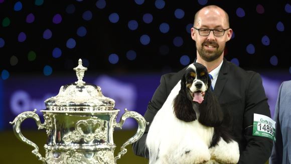 Cine este marele câştigător la prestigiosul concurs chinologic Crufts din Marea Britanie – VIDEO