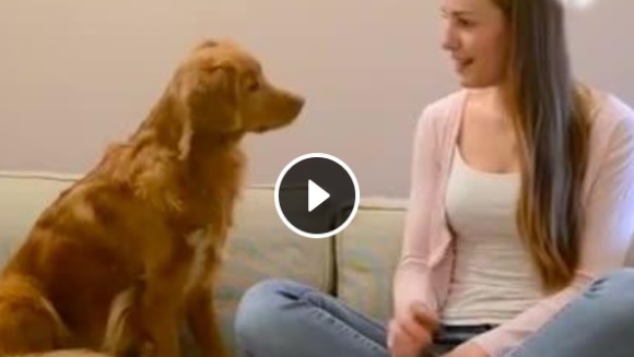 Clipul săptămânii: La o mică bârfă cu… prietenul canin – VIDEO