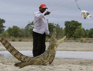 Crocodilii traiesc impreuna cu oamenii, intr-un sat african