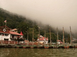 Lacul Naini din India, repopulat cu pesti 
