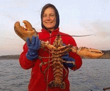 Cel mai mare homar din apele Marii Britanii