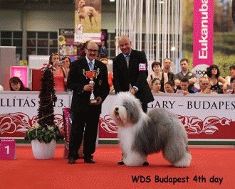 World dog show, Budapesta, 2013