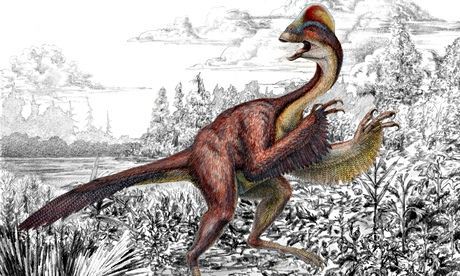 Găina din iad: o nouă specie de dinozaur descoperită în SUA