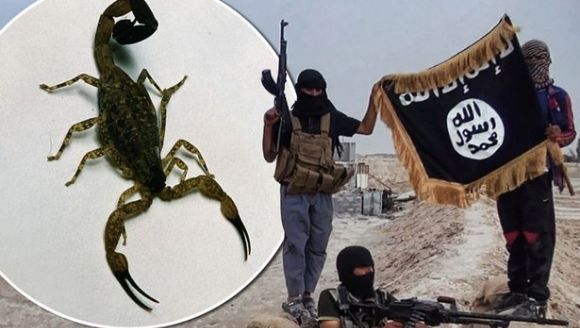 Jihadiştii ISIS reînvie o metodă de teroare: bombe cu scorpioni