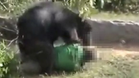 Atacat şi omorât de urs, după ce a sărit în apărarea a doi săteni