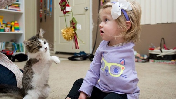 O pisicuţă cu 3 lăbuţe a fost adoptată de o fetiţă cu o singură mână. Acum, sunt cele mai bune prietene - Galerie Foto