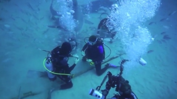 Love is in the... water: s-au logodit în apă, printre rechini - VIDEO