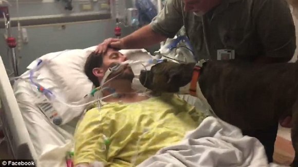 Un câine şi-a luat rămas bun de la stăpânul său, aflat pe patul de moarte. Clipul a strâns milioane de vizualizări - Video