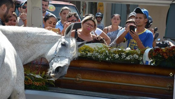 Momentul emoţionant în care un cal îşi ia rămas-bun de la stăpânul său, la funeraliile acestuia - Galerie foto