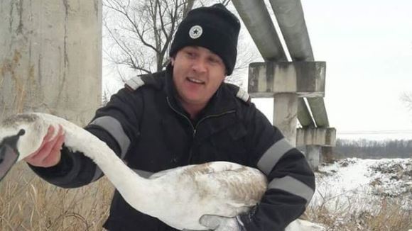 Pompierii au reuşit să salveze un pui de lebădă din apa îngheţată a barajului Bascov