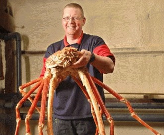 Crabul gigantic japonez
