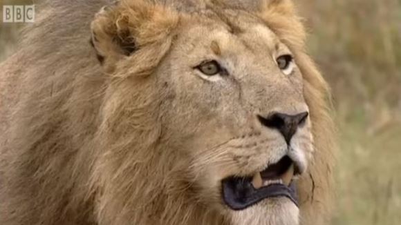 Opt lei, vedete într-un documentar foarte popular, au fost otrăviţi - VIDEO