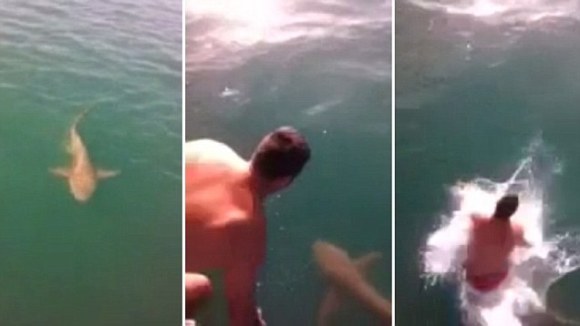 Un bărbat s-a aruncat pe spatele unui rechin viu. Finalul?! VIDEO