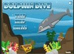 Dolphin drive