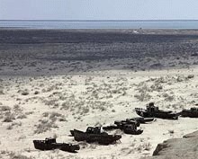 ONU: Lacul Aral este una dintre cele mai mari catastrofe ecologice