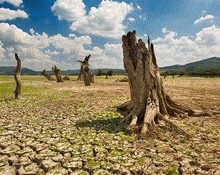 Zonele desertice inainteaza anual cu o suprafata egala cu cea a Greciei