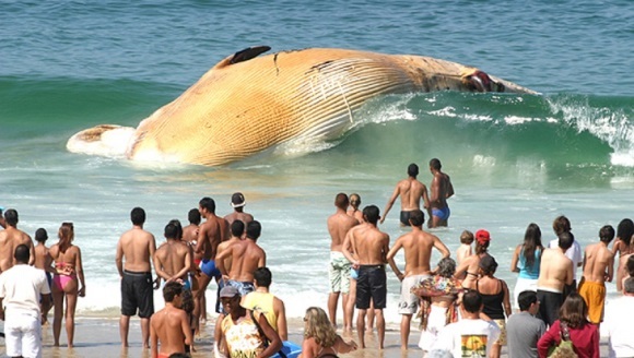 Spectacolul naturii în imagini care te lasă fără suflare. Şi nu, imaginile nu au avut nevoie de Photoshop - Foto