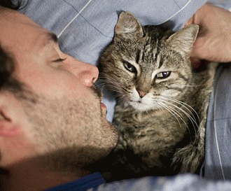 Cum schimb comportamentul de noapte al pisicii?
