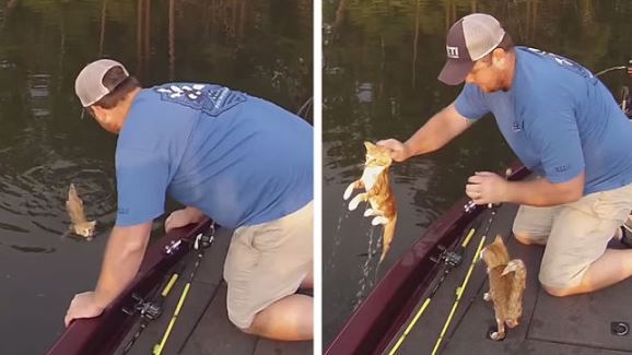 Au ieșit la pescuit, dar au sfârșit prin a salva de la înec două pisici