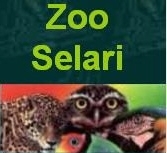 Bucuresti: ZOO SELARI - animale si accesorii pentru acestea