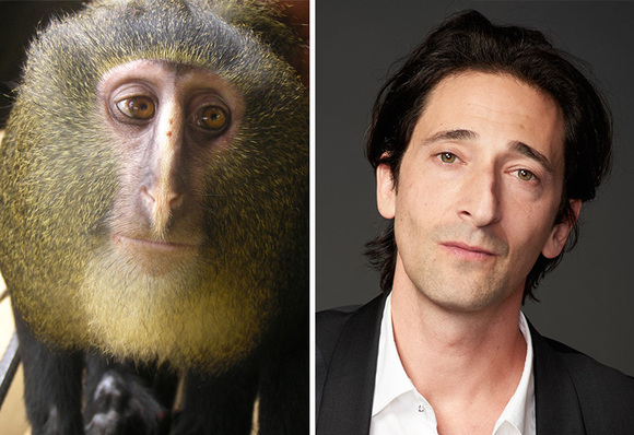 Adrien Brody