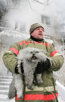 Pompier rus salvand pisica...