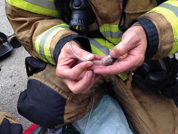 Pompier dandu-i oxigen unui pui miniscul de hamster...