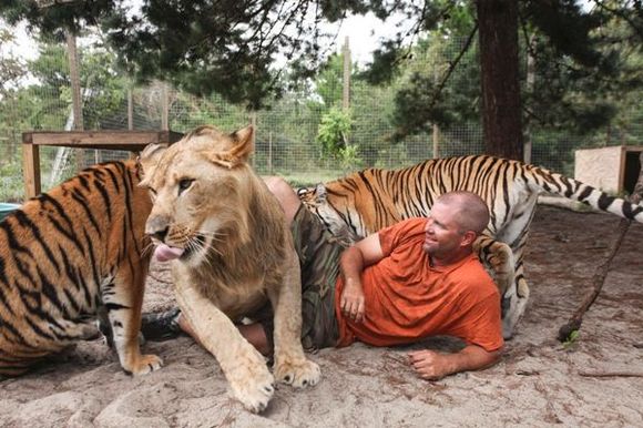 Bărbatul care se luptă cu tigrii şi leii pe care îi creşte în propria curte - Galerie Foto